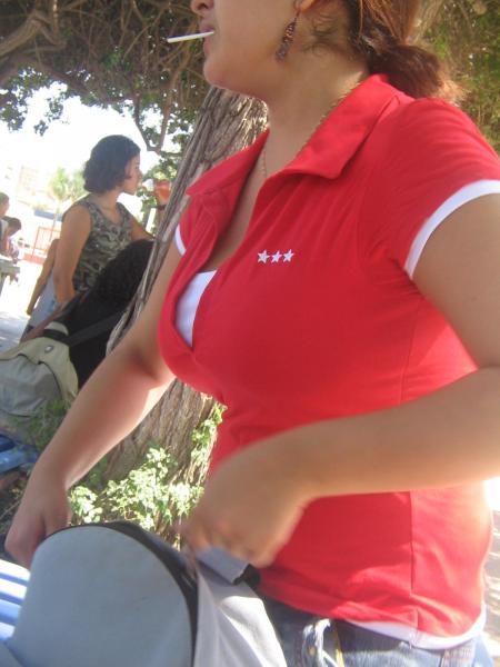 Houdaaa's anatomie *fr:*